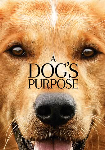 A Dog's Purpose itunes HD (Ports to VUDU/MA)